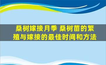 桑树嫁接月季 桑树苗的繁殖与嫁接的最佳时间和方法